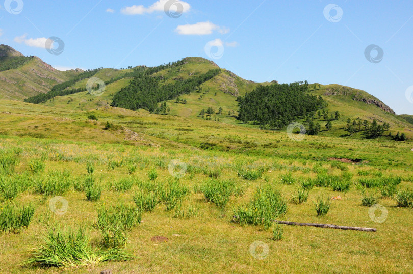 Скачать Низкие заросли густой травы разбросаны по долине, окруженной горными хребтами. фотосток Ozero