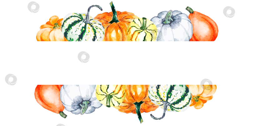 Скачать Акварельная иллюстрация ярких тыкв на белом фоне. Нарисованная акварелью рамка из овощей фотосток Ozero