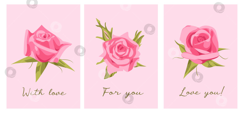 Скачать Установите симпатичную векторную иллюстрацию на день Святого Валентина. Элегантные реалистичные розовые розы с текстом. Люблю тебя. Для открыток, плакатов, печати на одежде фотосток Ozero