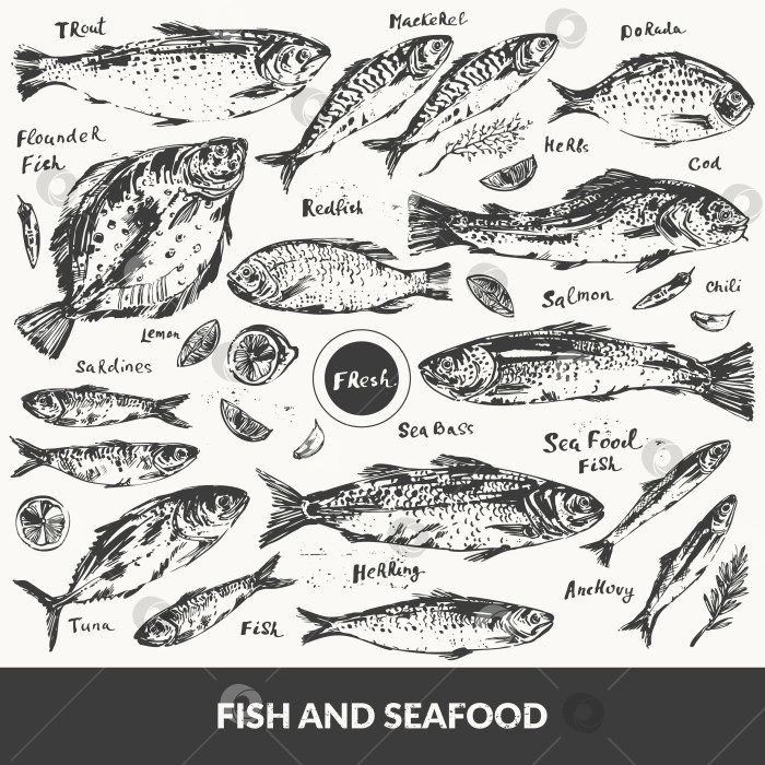 Скачать Нарисованный от руки тушью эскиз морепродуктов, рыбы для фона меню фотосток Ozero
