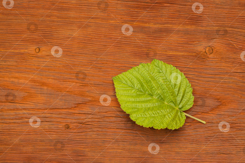 Скачать лист малины на деревянном фоне фотосток Ozero