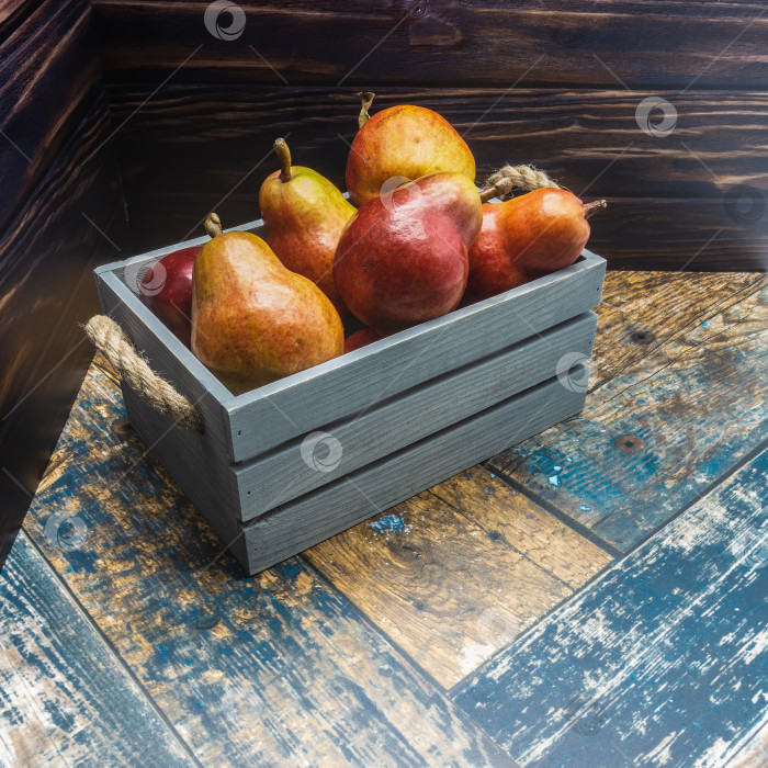 Скачать Синяя деревянная коробка с веревочными ручками наполнена спелыми грушами. фотосток Ozero