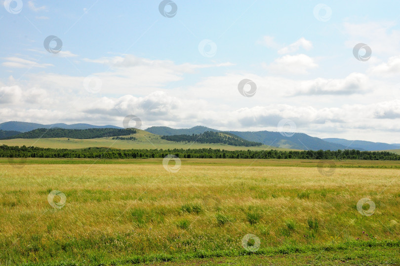 Скачать Бескрайние поля на опушке леса у подножия горного хребта солнечным летним днем. фотосток Ozero