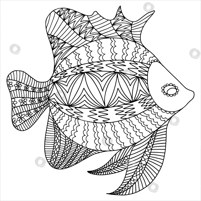 Раскраска Рыба Карп