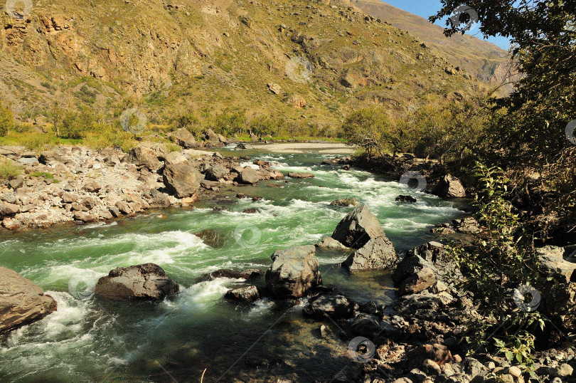 Скачать Извилистое русло горной реки с прозрачной водой, бурный поток, текущий по дну узкого каньона. фотосток Ozero