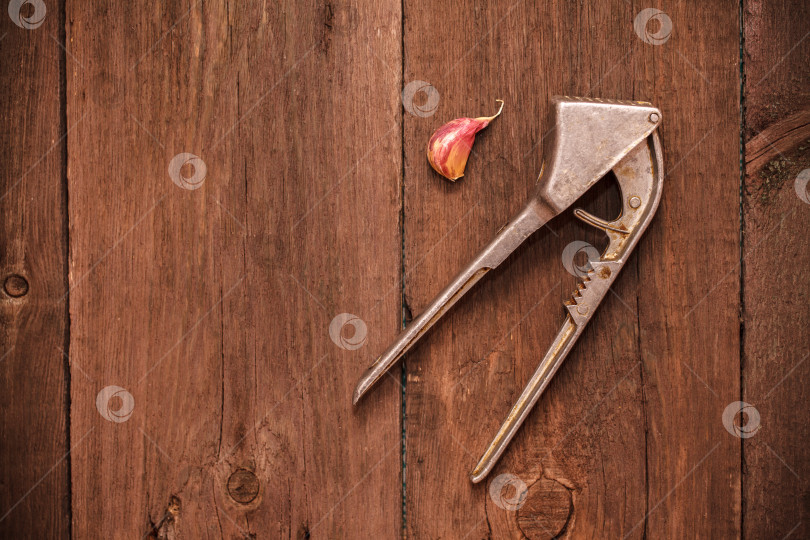 Скачать давилка для чеснока и чесночница на деревянном фоне фотосток Ozero