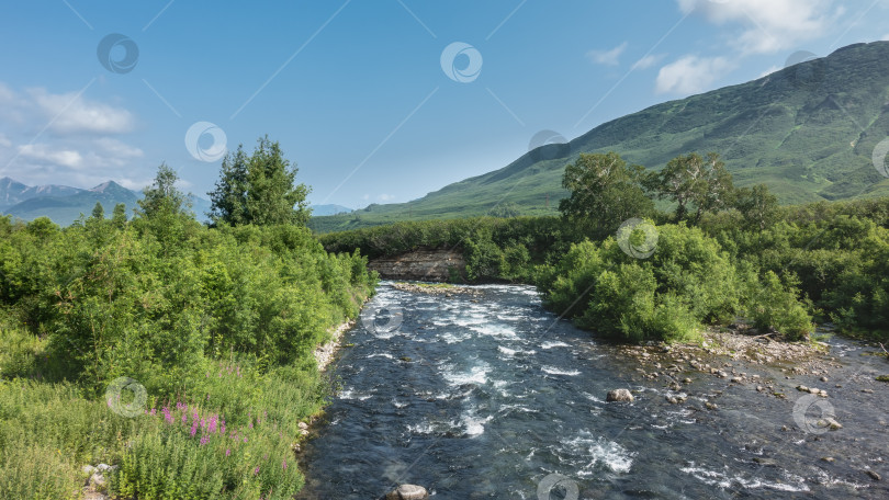 Скачать Горная река с прозрачной водой течет и пенится по каменистому руслу. фотосток Ozero