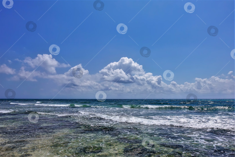 Скачать Занимайтесь серфингом на Карибском побережье. Бирюзовые волны пенятся. фотосток Ozero