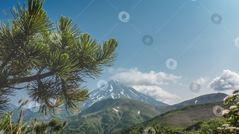 Скачать Стратовулкан возвышается на фоне голубого неба. . Камчатский вулкан Вилючинский фотосток Ozero