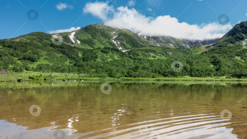 Скачать Чистое прозрачное озеро окружено горами. Солнечный летний день. Камчатка фотосток Ozero