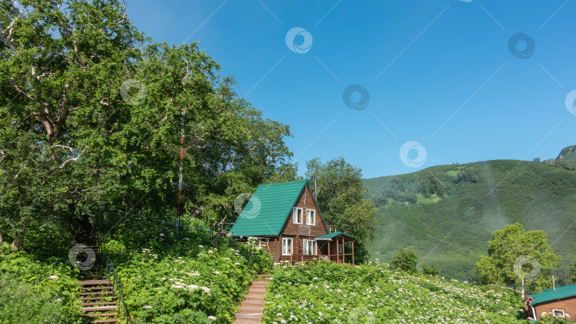 Скачать Деревенский деревянный дом стоит на склоне холма. Вокруг растут полевые цветы и зеленые деревья. фотосток Ozero