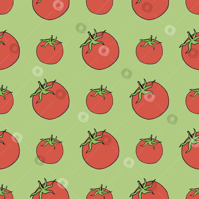 Скачать Бесшовный узор с помидорами на светло-зеленом фоне. Векторное изображение. фотосток Ozero