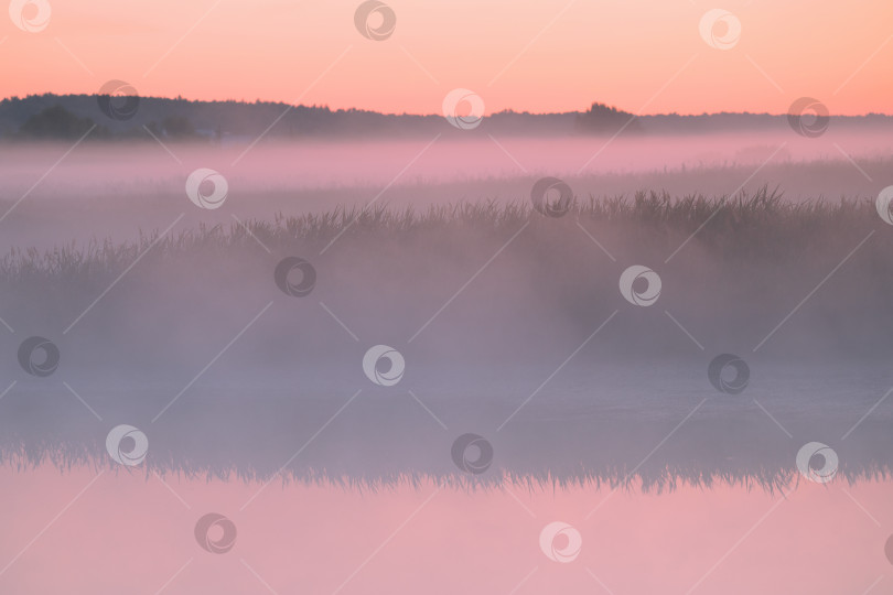 Скачать Розовый туман на рассвете над рекой фотосток Ozero