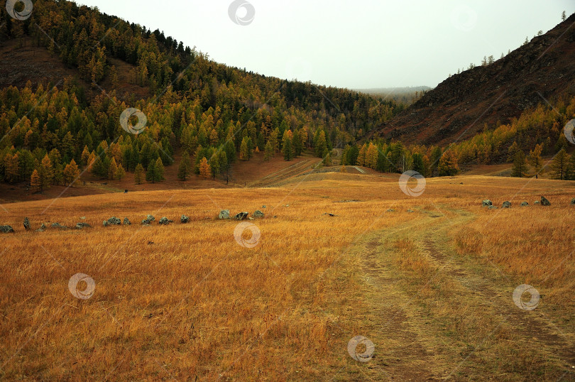 Скачать Ранней осенью полевая дорога вьется к холмам в узкой долине. фотосток Ozero