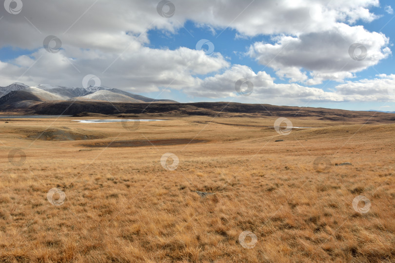 Скачать Огромная плоская степь с сухой, пожелтевшей травой у подножия заснеженных горных хребтов в солнечный осенний день. фотосток Ozero