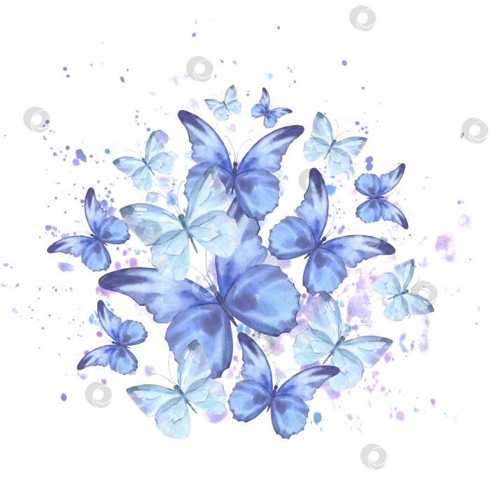 Скачать Акварельная иллюстрация с нежными голубыми бабочками, летающими по кругу с плеском. Для оформления и декорирования рамок, баннеров, открыток, сертификатов. фотосток Ozero