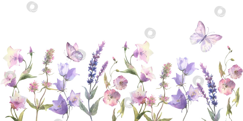 Скачать Бесшовная кайма с травами и дикими цветами, листьями, бабочками. Ботаническая иллюстрация на белом фоне. Шаблон с местом для текста. фотосток Ozero