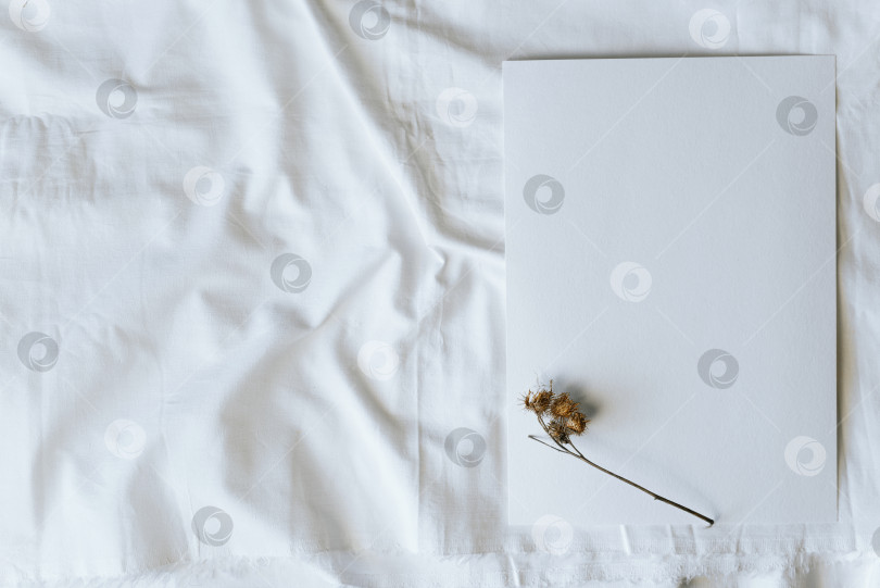 Скачать Чистый лист текстурированной бумаги и колючий сухой цветок, разложенный ровным слоем. Макет с пространством для копирования фотосток Ozero