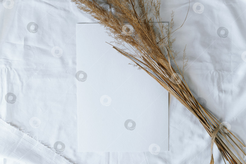 Скачать Букет сухих полевых колосков и белый лист акварельной бумаги, лежащий на белой ткани. Ровная поверхность, свободное место для копирования. Макет с местом для текста. фотосток Ozero