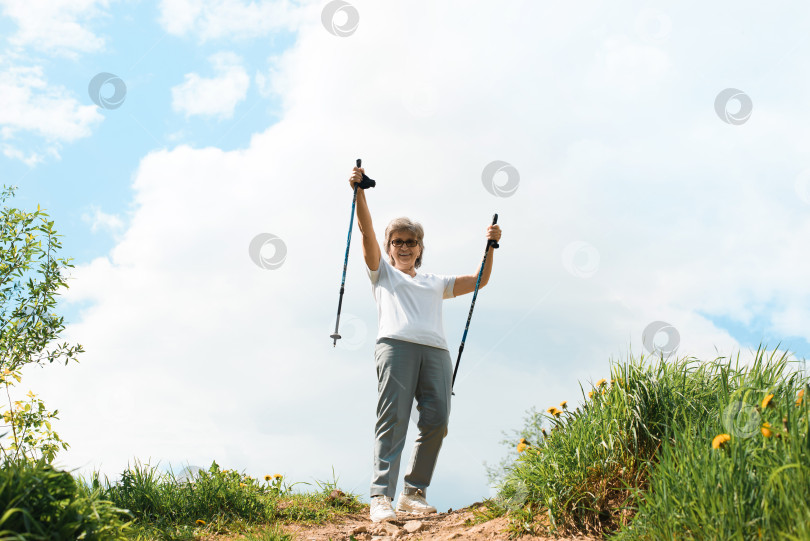 Скачать Поход на природу. Счастливая пожилая женщина-путешественница стоит на вершине холма и поднимает руки в победном жесте. Треккинг с палками для скандинавской ходьбы на открытом воздухе. Активный здоровый образ жизни на пенсии. фотосток Ozero