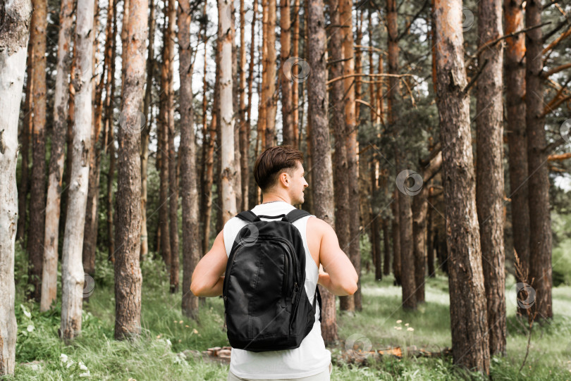 Скачать Поход на природу. Здоровый молодой человек с рюкзаком в сосновом лесу солнечным летним днем, вид сзади. Путешественник наслаждается прогулкой на свежем воздухе. Концепция путешествий, активного отдыха фотосток Ozero