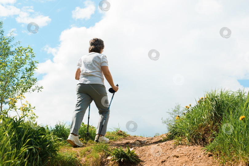 Скачать Пожилая женщина совершает пеший поход на природе. Пожилая женщина взбирается на вершину холма, используя трости для ходьбы, вид сзади. Активный здоровый образ жизни на пенсии. фотосток Ozero