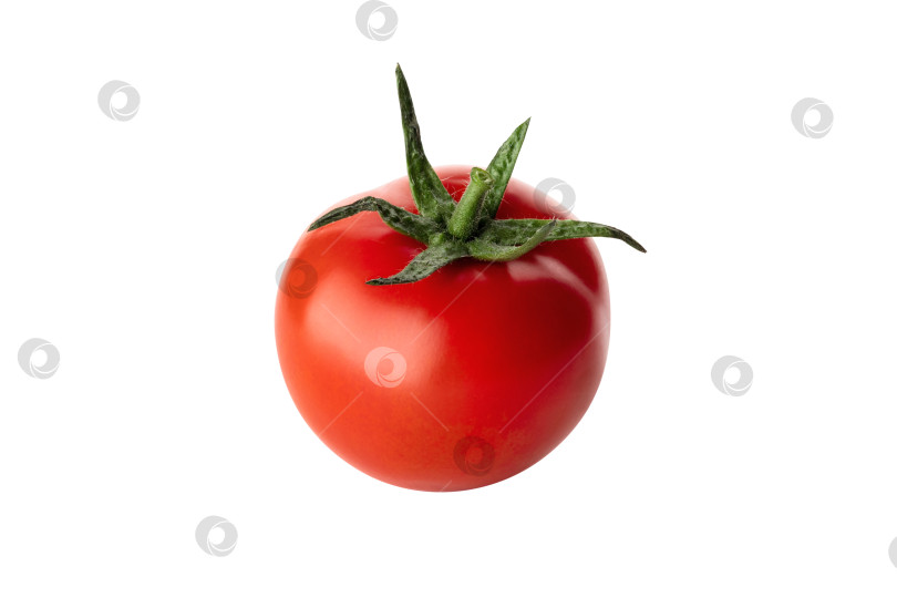 Скачать Свежий сочный вкусный помидор с веточкой, выделенной на белом фоне. Закрыть. Контур отсечения фотосток Ozero