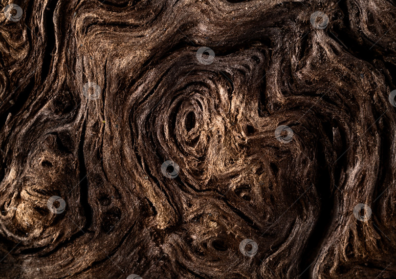 Скачать Макрос с абстрактной текстурой дерева, крупный план. Вид сверху. Натуральная гранжевая текстура. фотосток Ozero