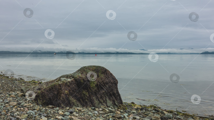 Скачать Живописный валун лежит на галечном пляже Тихого океана. фотосток Ozero