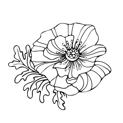 [object Object] undefined