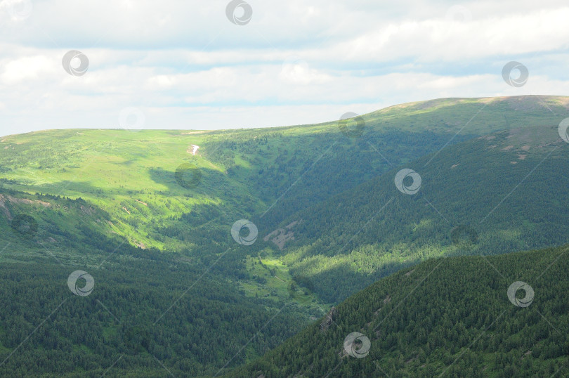 Скачать Склоны высоких гор, поросшие хвойным лесом, в тени облаков. фотосток Ozero