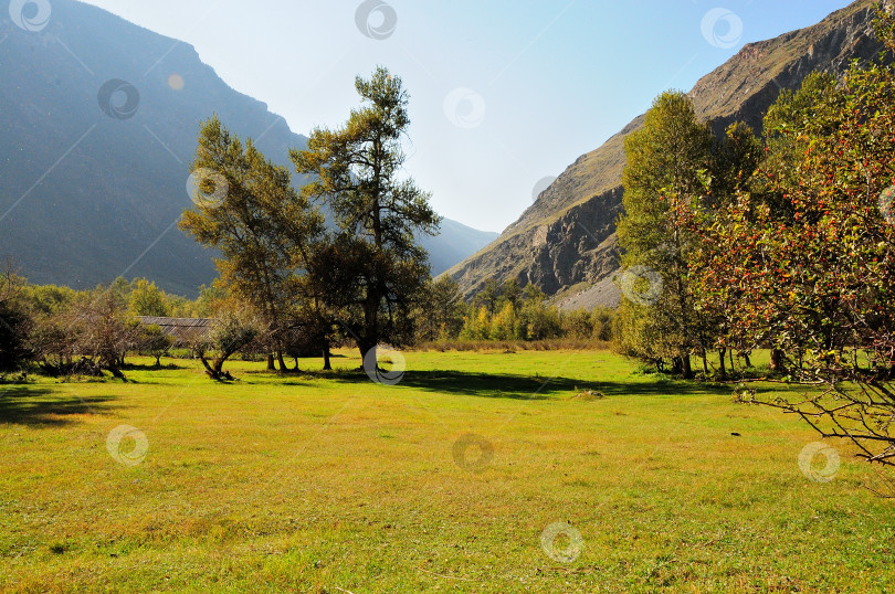 Скачать В ясный солнечный день в центре поляны, окруженной высокими горами, стоят несколько разных деревьев. фотосток Ozero