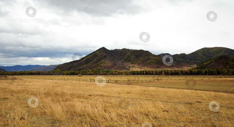 Скачать Старое огороженное пастбище с рулонами свежескошенного сена у подножия высокой горы. фотосток Ozero