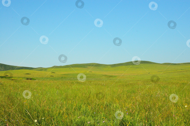 Скачать Огромное поле в ясный летний день у подножия высоких холмов в степи. фотосток Ozero