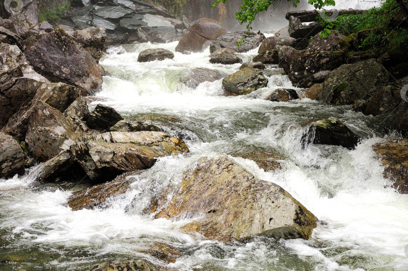 Скачать Бурный поток стремительной реки течет по горной лощине в летнем лесу после дождя. фотосток Ozero