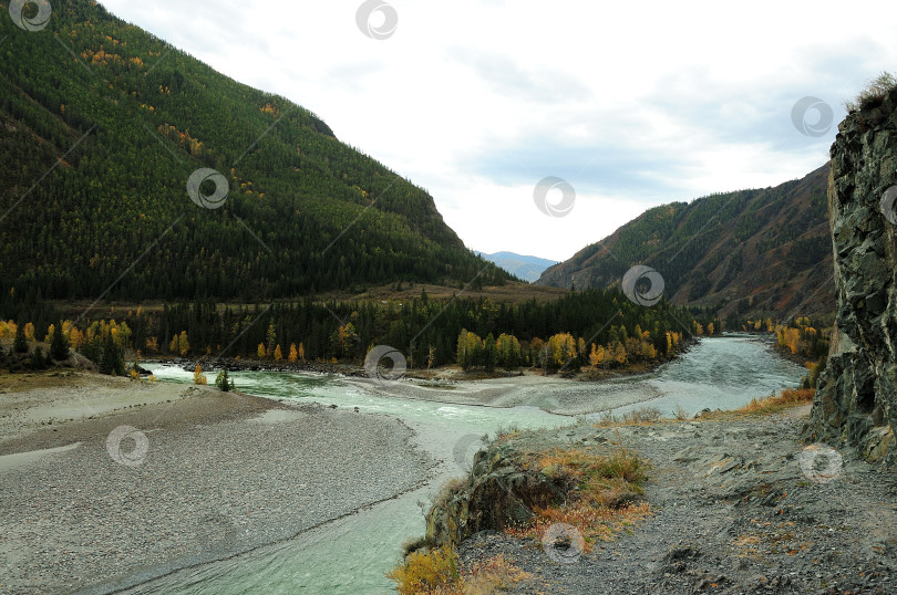 Скачать Слияние двух прекрасных рек у подножия высокой горы в живописной осенней долине. фотосток Ozero