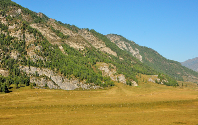 [object Object] undefined