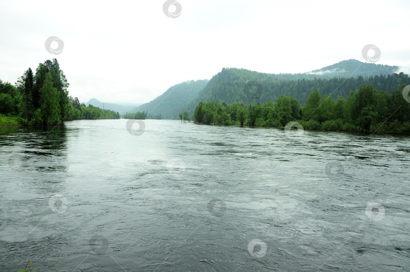 Скачать Русло широкой реки, протекающей через хвойный лес у подножия высоких гор. фотосток Ozero