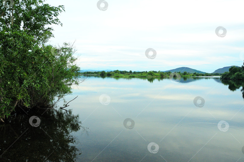 Скачать Взгляд сквозь кусты на спокойную гладь большого озера у подножия высоких холмов. фотосток Ozero