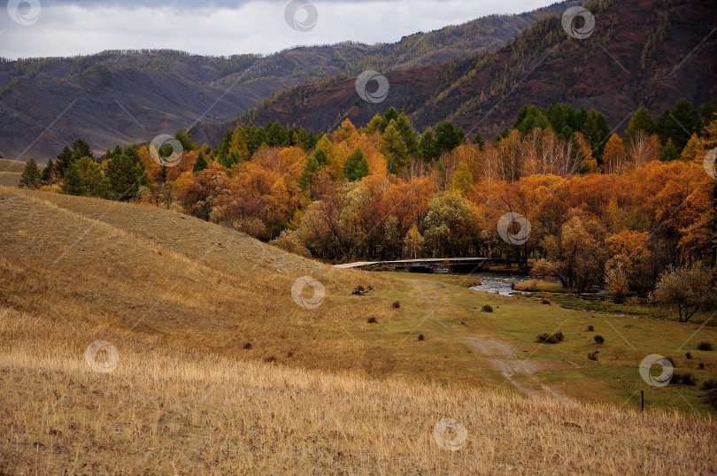Скачать Спуск с холма к реке, через которую был построен мост посреди высоких гор, поросших осенним лесом. фотосток Ozero