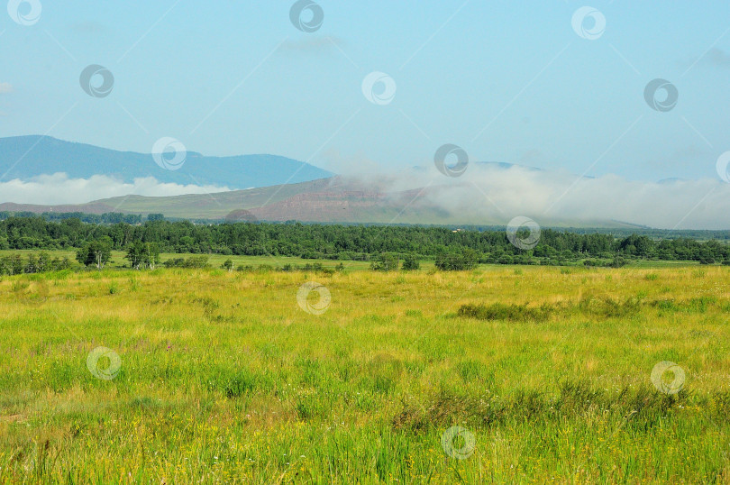 Скачать Небольшой лес на краю поля и высокие холмы, покрытые густым туманом. фотосток Ozero