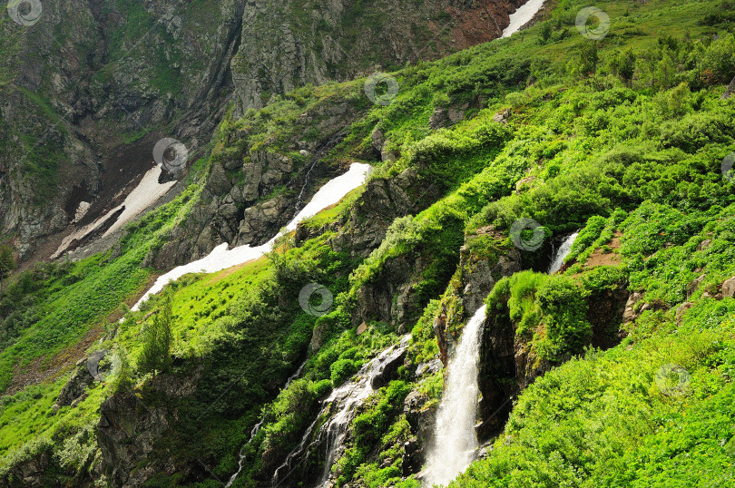 Скачать Небольшой водопад, стекающий со скалы, заросшей кустарником и остатками снега. фотосток Ozero