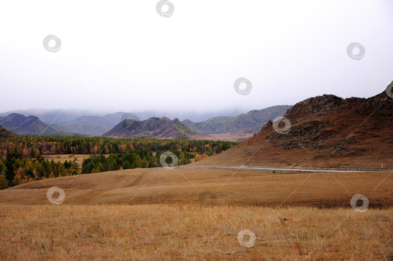 Скачать Асфальтированная дорога, огибающая высокий холм, проходит через сухую осеннюю степь под грозовыми облаками. фотосток Ozero