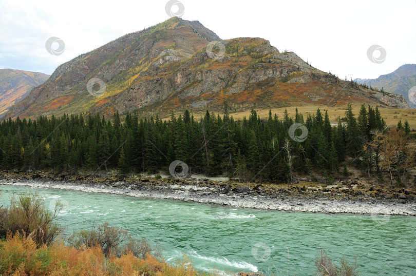 Скачать Красивая бирюзовая река, текущая по живописной долине ранней осенью. фотосток Ozero