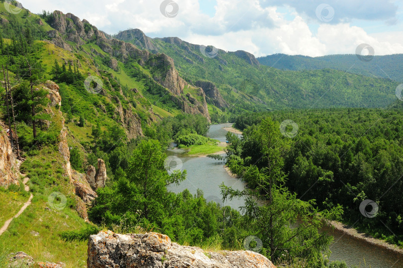 Скачать Красивая река, протекающая через хвойный лес у подножия высокого горного хребта. фотосток Ozero