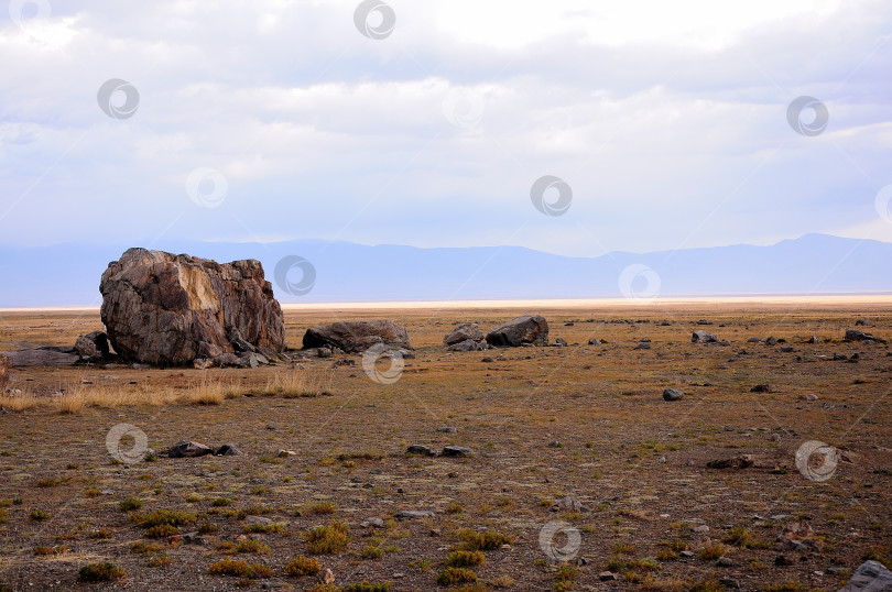 Скачать Остатки древнего каменного святилища в высохшей осенней степи под пасмурным небом. фотосток Ozero