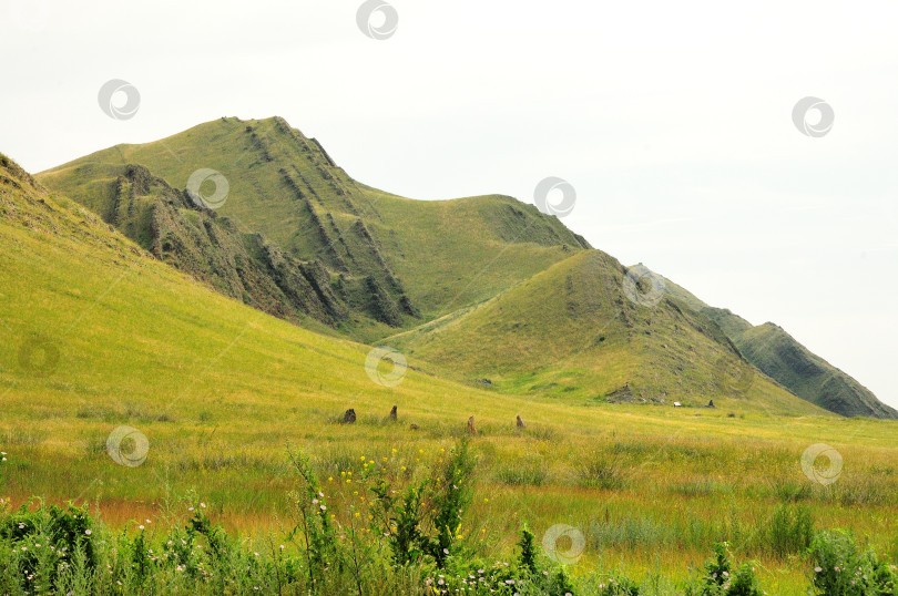 Скачать Ровные ряды скальных образований тянутся вдоль склона и вершины высокой горы. фотосток Ozero