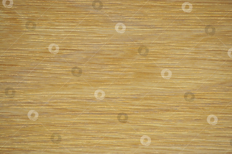 Скачать Ольха, плоская поверхность из натурального дерева с полосатым рисунком крупным планом. фотосток Ozero