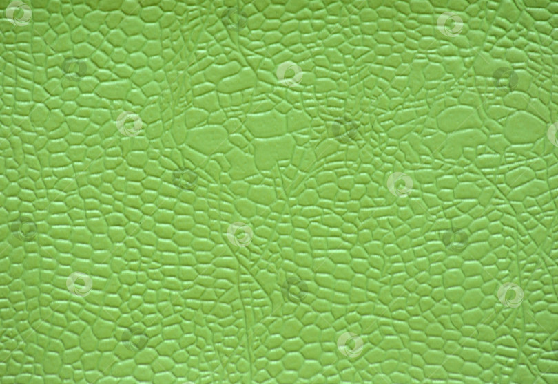 Скачать Фрагмент натуральной кожи с мелким сетчатым рисунком, искусственно окрашенный в кислотно-зеленый цвет. фотосток Ozero