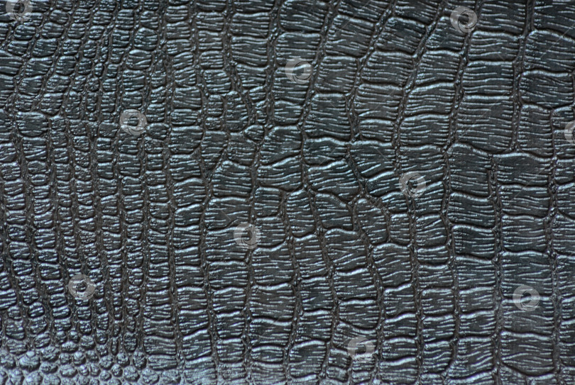Скачать Черная кожа рептилии, чешуйчатый узор с полированным блеском крупным планом. фотосток Ozero